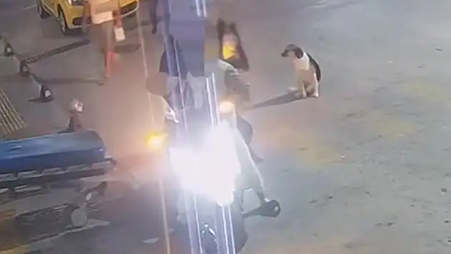 Sokakta tabancayla vurulan kişi hayatını kaybetti