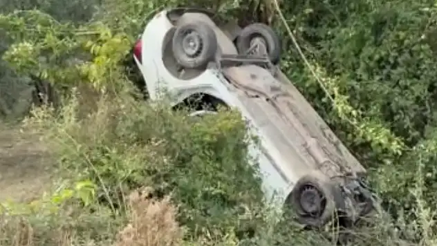 Sollama yapmak isteyen sürücü zeytinliğe uçtu