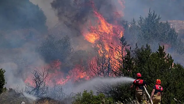 Son Dakika: Bakan Yumaklı İzmir Çeşme'den güzel haberi verdi!
