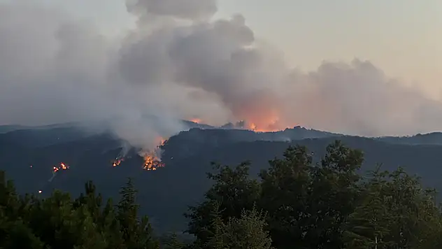 Orman yangını yürekleri yaktı! Çok sayıda şehit var...