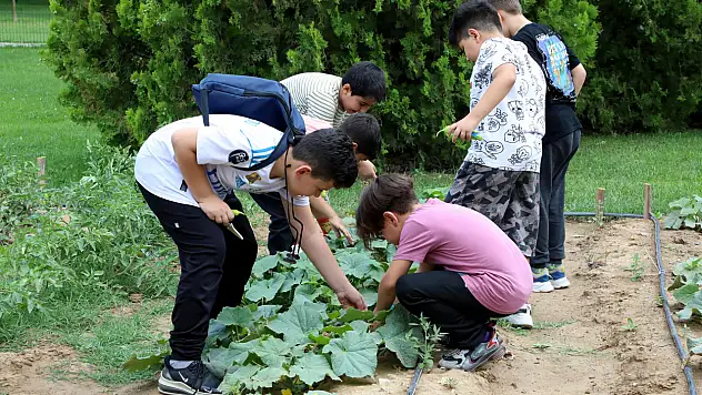 Tabiatın içinde hem öğreniyor hem eğleniyorlar