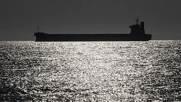 Tahıl taşıyan 2 gemi daha Ukrayna'dan hareket etti