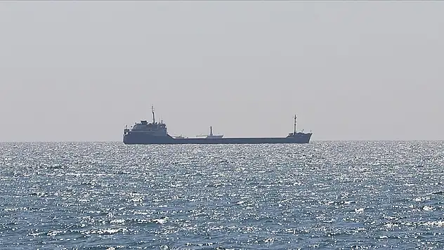 Tahıl taşıyan 4 gemi daha Ukrayna'dan hareket etti