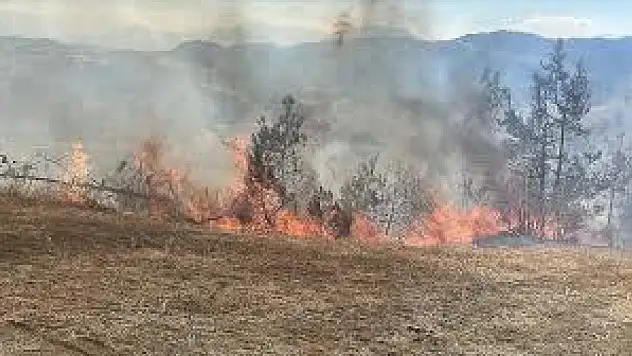 Tarım arazisinde çıkan yangın ormanlık alana sıçramadan müdahale edildi