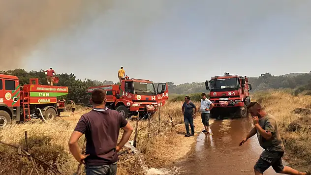 Tarım arazisinde yangın paniği!