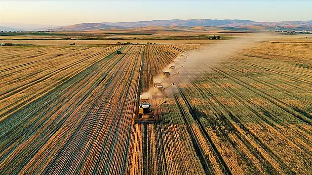 Tarım grubundan ihracatta ilk yarı rekoru