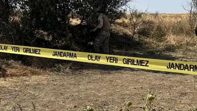 Tarlada uyuyan kadın iş makinesinin altında can verdi