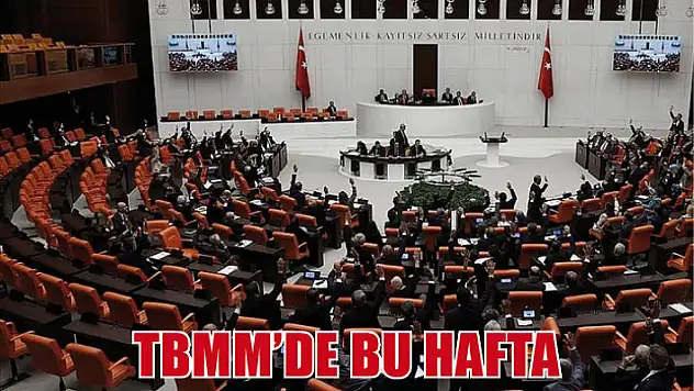 TBMM'de bu hafta