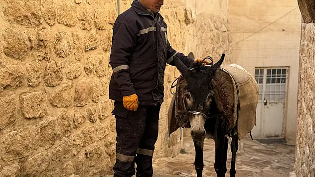 Teknoloji, kadrolu eşekleri emekliye ayırıyor