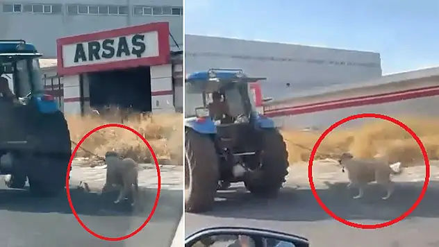 Tepki çeken görüntü: Traktörün arkasından böyle koşturdu