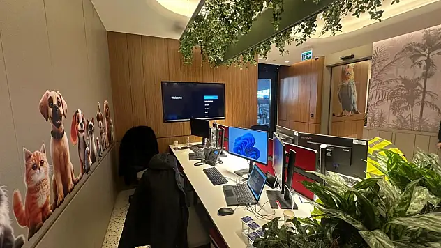 THY'den 'Pet Lounge' hizmeti