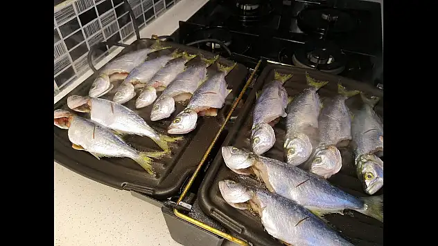 Tost Makinasında Izgara Çipura: Tost Makinasında Izgara Çipura