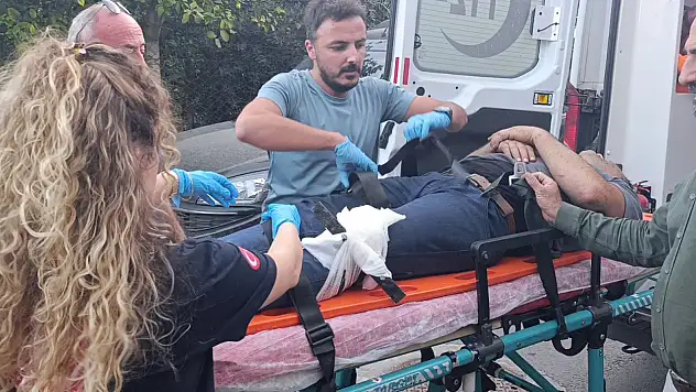 Trabzon hurması toplarken kanlar içinde kaldı