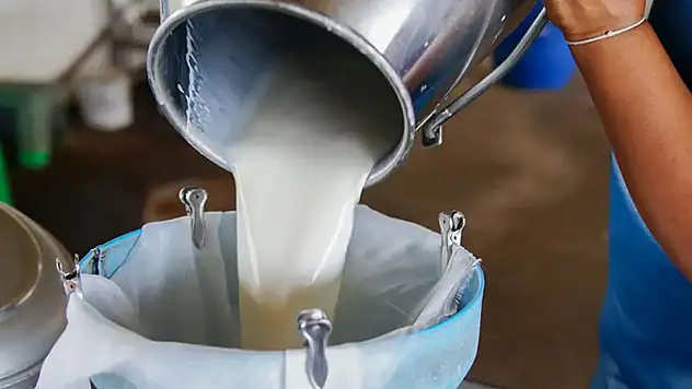 TÜİK: Haziran 2025'te Süt ve Süt Ürünleri Üretiminde Artış ve Düşüşler Bir Arada