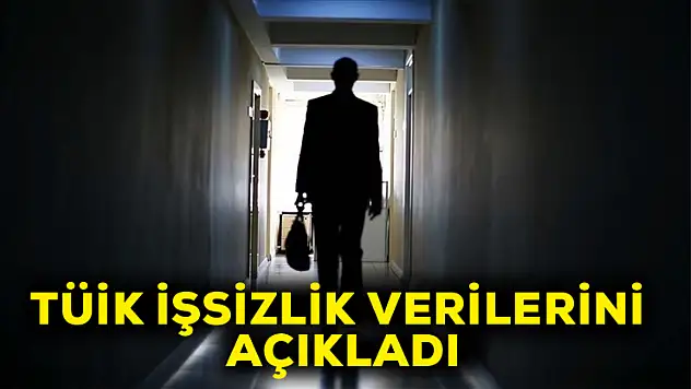 TÜİK işsizlik verilerini açıkladı