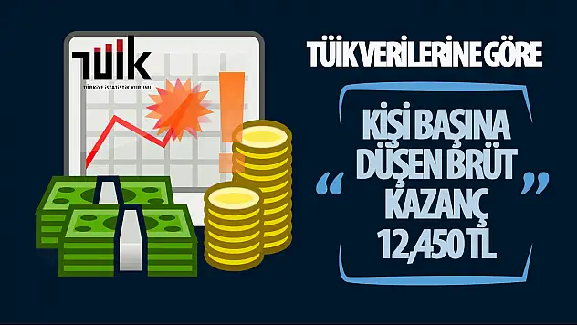 TÜİK Verilerine Göre Türkiye'de Aylık Ortalama Kişi Başına 12,450 TL Kazanç