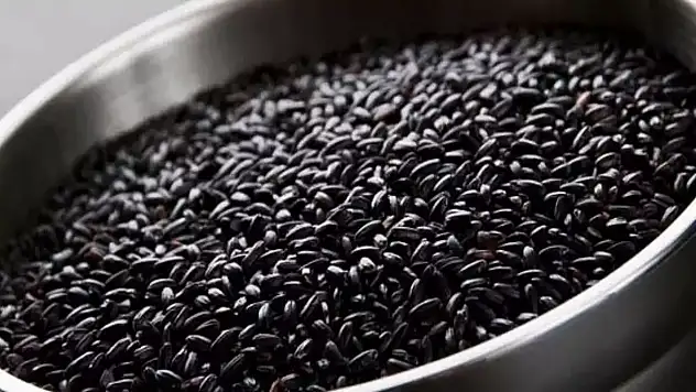 Türkiye'nin gizli hazinesi: Siyah Pirinç