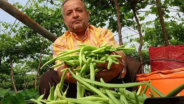 Turfanda ürünle çifte kazanç