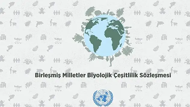 Türkiye, BM Biyolojik Çeşitlilik Sözleşmesi'nin 2024-26 dönem başkanlığını yürütecek