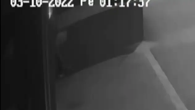 Türkiye bu hırsızı konuşuyor! Dışkısı yakayı ele verdirtti