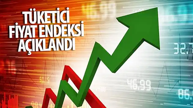 Tüketici Fiyat Endeksi Verileri Açıklandı