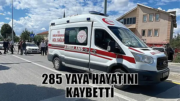 Türkiye'de 10 aydaki trafik kazalarında 285 yaya hayatını kaybetti