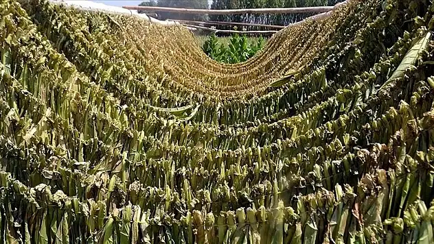 Tütün herşeyi tehdit ediyor