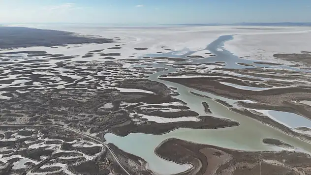 Tuz Gölü'nde yüzlerce flamingo ölü olarak bulundu