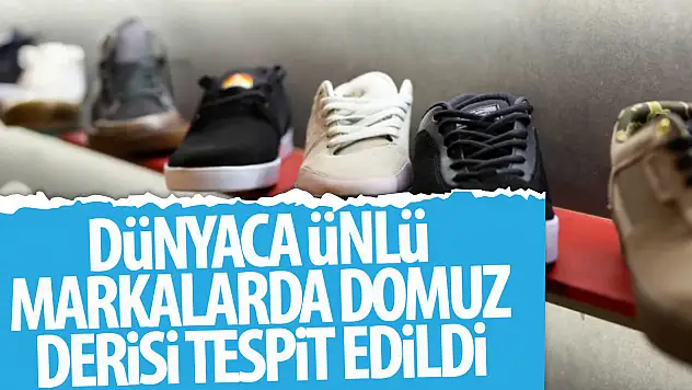 Ünlü Ayakkabı Markalarında Domuz Derisi Şoku: New Balance, Vans ve Camper'a Ceza Yağdı!
