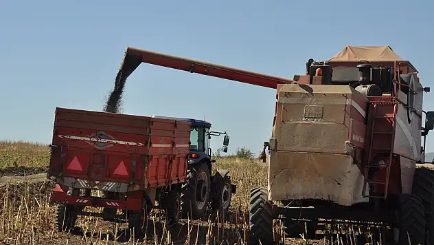 Üreticiler ayçiçeği hasadında sona yaklaştı