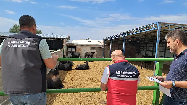 Üreticiye destek, sahada sıkı takip! Konya'da gözler işletmelerde