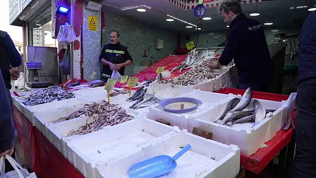 Vatandaş tezgaha gitti, balık bulamadı! Karadeniz'de büyük şok