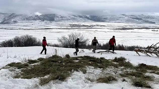 Yaban hayatı için yemleme döneminde 2500 ton yem doğaya bırakıldı