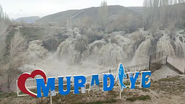 Yağan yağmur etkisini şelalede gösterdi: Şelale coştu!