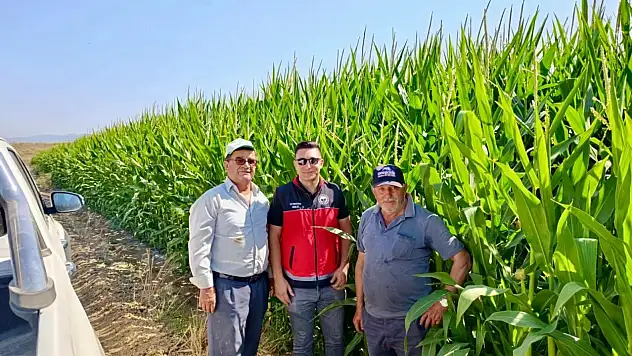 Yalıhüyük'te tarım ekipleri incelemelerde bulunuyor