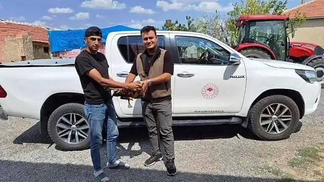 Yaralı Şahin'i  ekiplere teslim etti