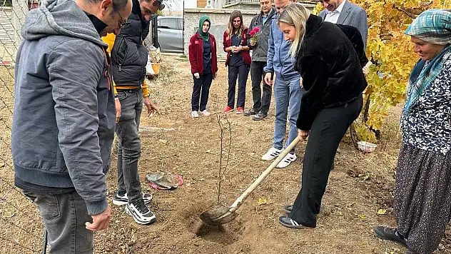 'Yaş Alan Çınarlarımız' dediler,  Yaşlı hastaları için fidan diktiler