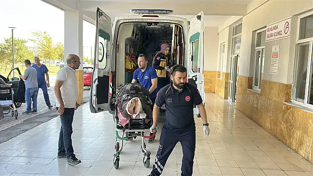Yaylada dehşet anları: Kanlar içinde 112'yi aradı