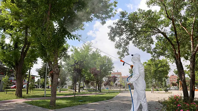 Yaz gelmeden önlem alınıyor: Selçuklu'da ilaçlama çalışmaları sürüyor