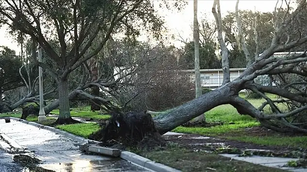 Yeni Zelanda, 941 milyon NZD bütçe ayıracak