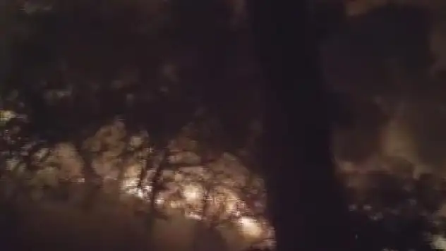 Yıldırım düşmesi sonrası ormanlık alanda yangın çıktı!