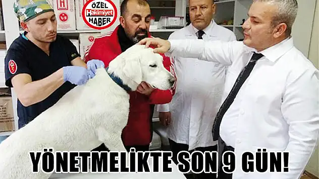 Yönetmelikte son 9 gün!