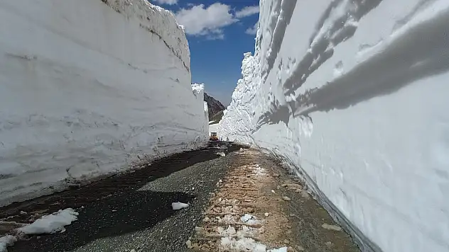 Yüksekova'nın yayla yolu yaz temizliği başladı