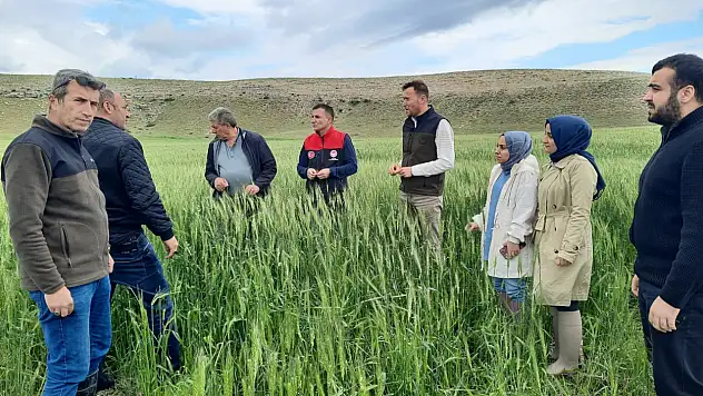 Yunak'ta hububat ekili alanlara yakın takip