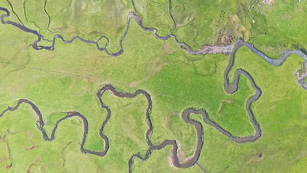 Ağrı'da mendereslerin bulunduğu ovalar yeşile büründü