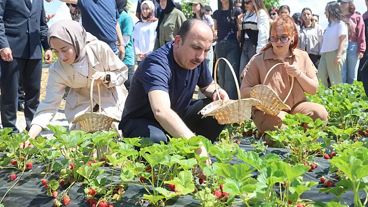 31 ilçede başvurular başlıyor! Konya'da çiftçiye yüzde 75 hibe