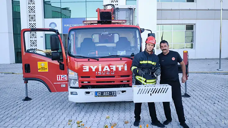 Konya'da 16 metre yüksekte mahsur kaldır! İşte böyle kurtarıldı