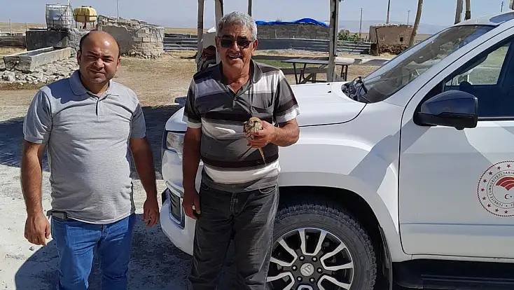 Konya'da arazide yaralı haldeydi, çiftçinin dikkati sayesinde kurtuldu