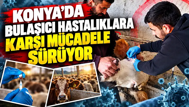 Konya’da bulaşıcı hastalıklara karşı mücadele sürüyor