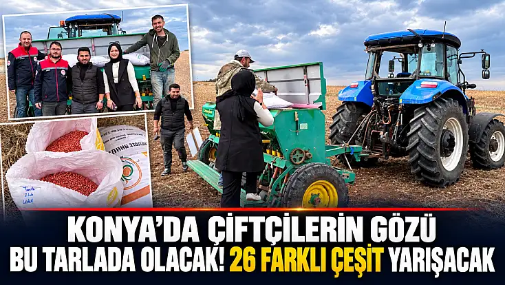 Konya’da çiftçilerin gözü bu tarlada olacak! 26 farklı çeşit yarışacak